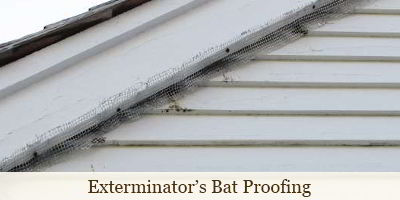 Exterminator's Ineffective at Bat Proofing