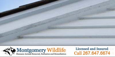 Bat Exclusion Barrier - Montgomery Wildlife