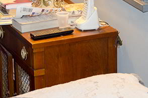 Bat in the Bedroom - Emergency Removal