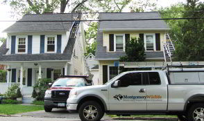 Lansdale, PA - Animal Removal and Exclusion - Montgomery Wildlife
