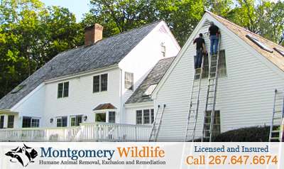 Chester County, Bucks County, Montgomery County, PA