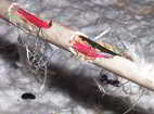 Chewed Electrical Wiring - Squirrel in Attic