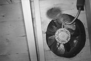 Squirrel attic fan access - Squirrel Removal