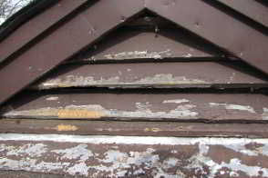 Squirrel on Roof - Scratching and Chewing