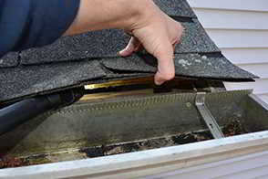Squirrel entry point under shingles