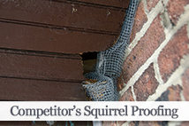 Competitor's Squirrel Proofing