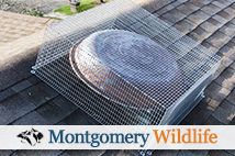 Montgomery Wildlife Attic Fan Screening