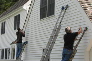 Bat Removal - Bat Exclusion