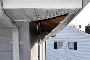 Raccoon Damage - Before Repair