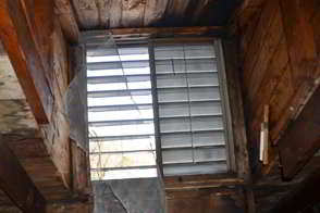 Raccoons Destroy Attic Vent